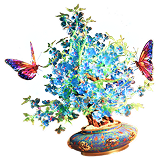 晶花梦蝶