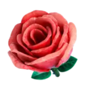 Rosa