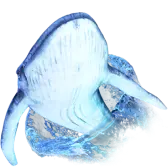 Whale diving