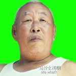 马冬梅横屏 绿幕直播特效视频