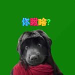 你瞅啥2秒 绿幕直播特效视频