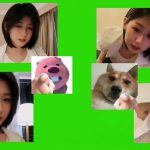 行不行啊细狗 绿幕直播特效视频