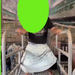 生小猪 静止大脸 6秒 绿幕直播特效视频