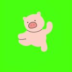 小猪本草纲目18秒 绿幕直播特效视频