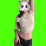 梨花香 舞蹈 绿幕直播特效视频