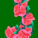 3-玫瑰花（11个） 绿幕直播特效视频