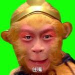 孙悟空系列2 住嘴1秒 绿幕直播特效视频
