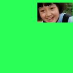 你是来拉屎的吧2 绿幕直播特效视频