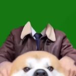 12月24日 绿幕直播特效视频