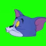 汤姆猫右边亲 绿幕直播特效视频