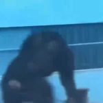 猩猩蹦迪新 绿幕直播特效视频