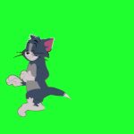 汤姆猫踢人 绿幕直播特效视频