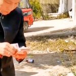 随礼不要你随礼别给我随啊 7秒 绿幕直播特效视频
