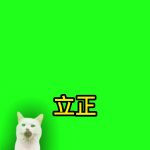 12月9日-立正成品1 绿幕直播特效视频