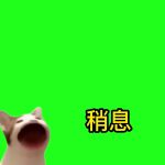 12月9日稍息-无音乐成品1 绿幕直播特效视频