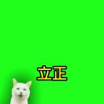 12月9日立正-无配音成品1 绿幕直播特效视频