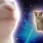20231109 新电音猫4 绿幕直播特效视频