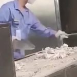 吃席  捡白灰6秒 绿幕直播特效视频