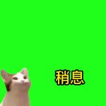 12月9日-稍息最终1 绿幕直播特效视频