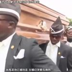 黑人抬棺 绿幕直播特效视频