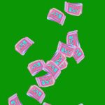 人气票5×6 绿幕直播特效视频