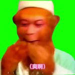 孙悟空系列3 爽啊3秒 绿幕直播特效视频