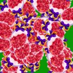 鲜花32×10 绿幕直播特效视频