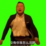 燕子没有你我怎么活 3秒 绿幕直播特效视频