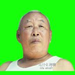 马冬梅竖屏 绿幕直播特效视频