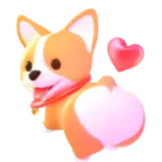 Corgi PNG透明礼物素材