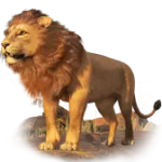 Lion PNG透明礼物素材