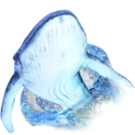Whale diving PNG透明礼物素材