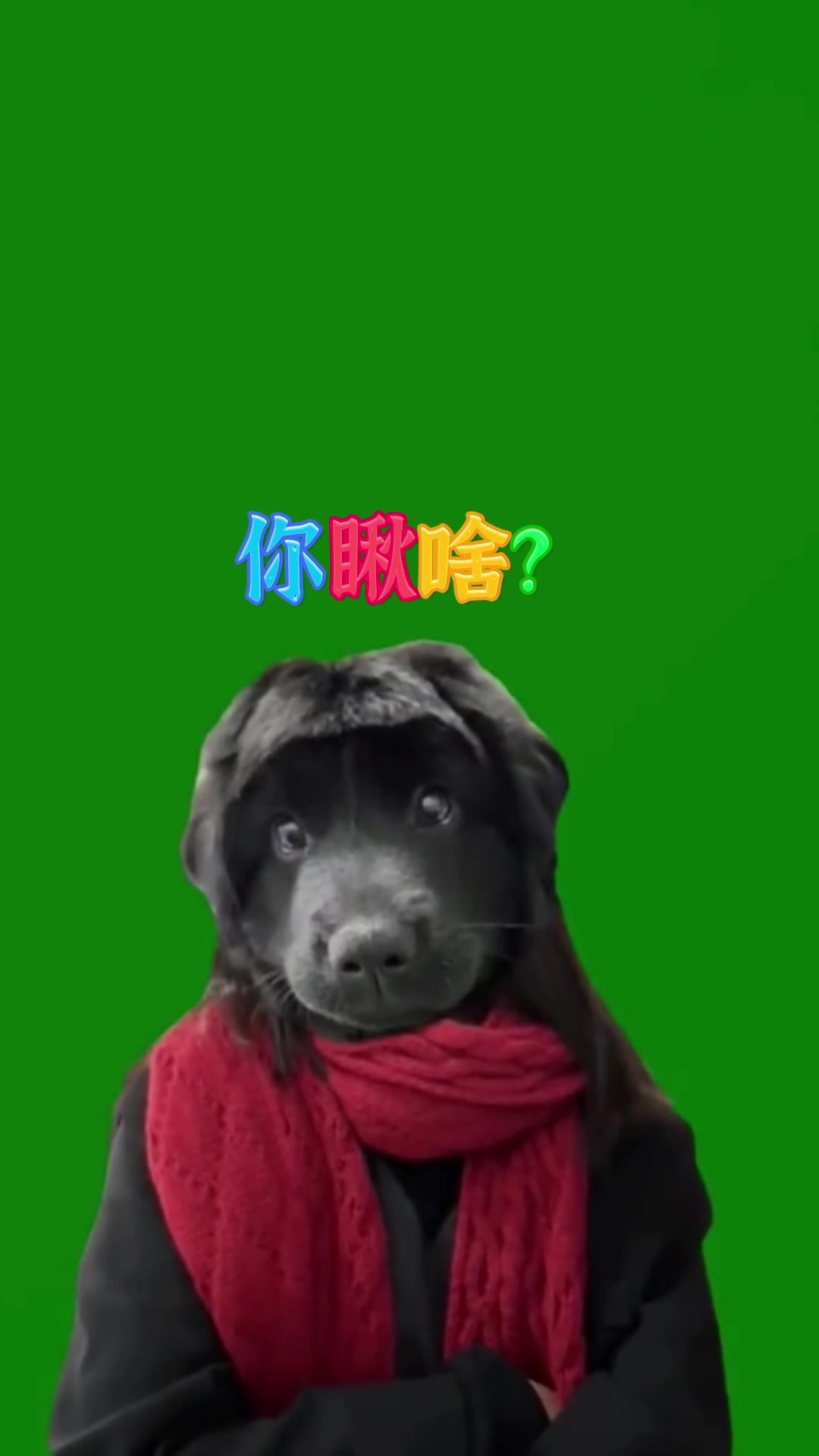 你瞅啥2秒 绿幕直播特效视频