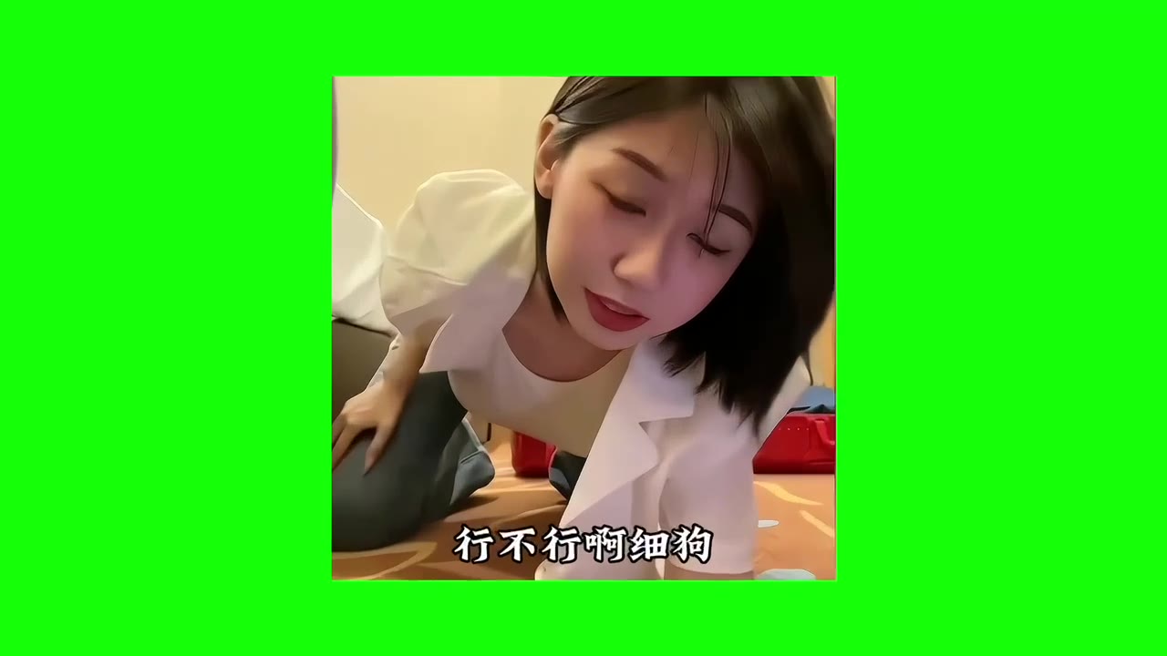 细狗 绿幕直播特效视频