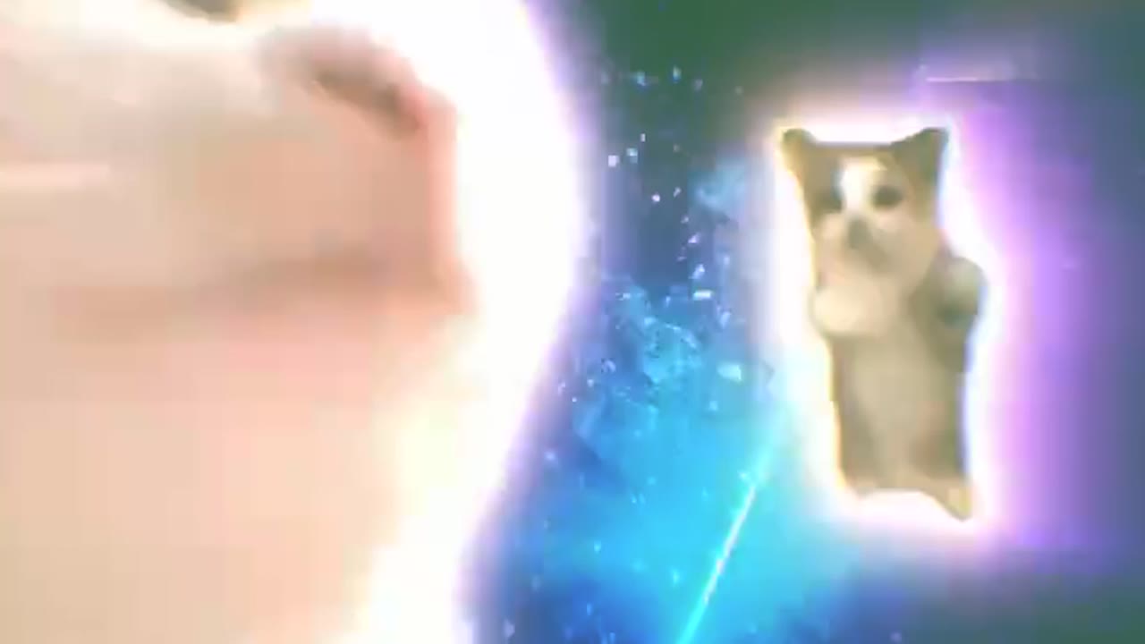 20231109 新电音猫4-绿幕 绿幕直播特效视频