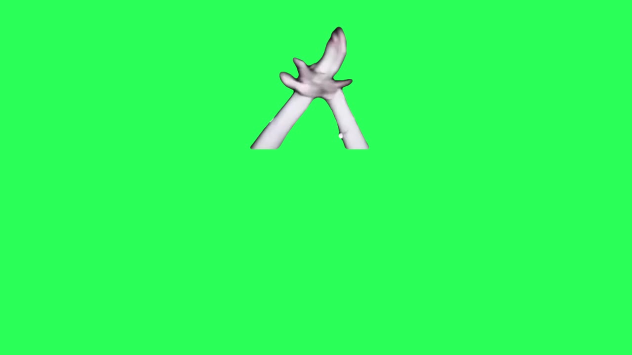 花手无配音 1 绿幕直播特效视频