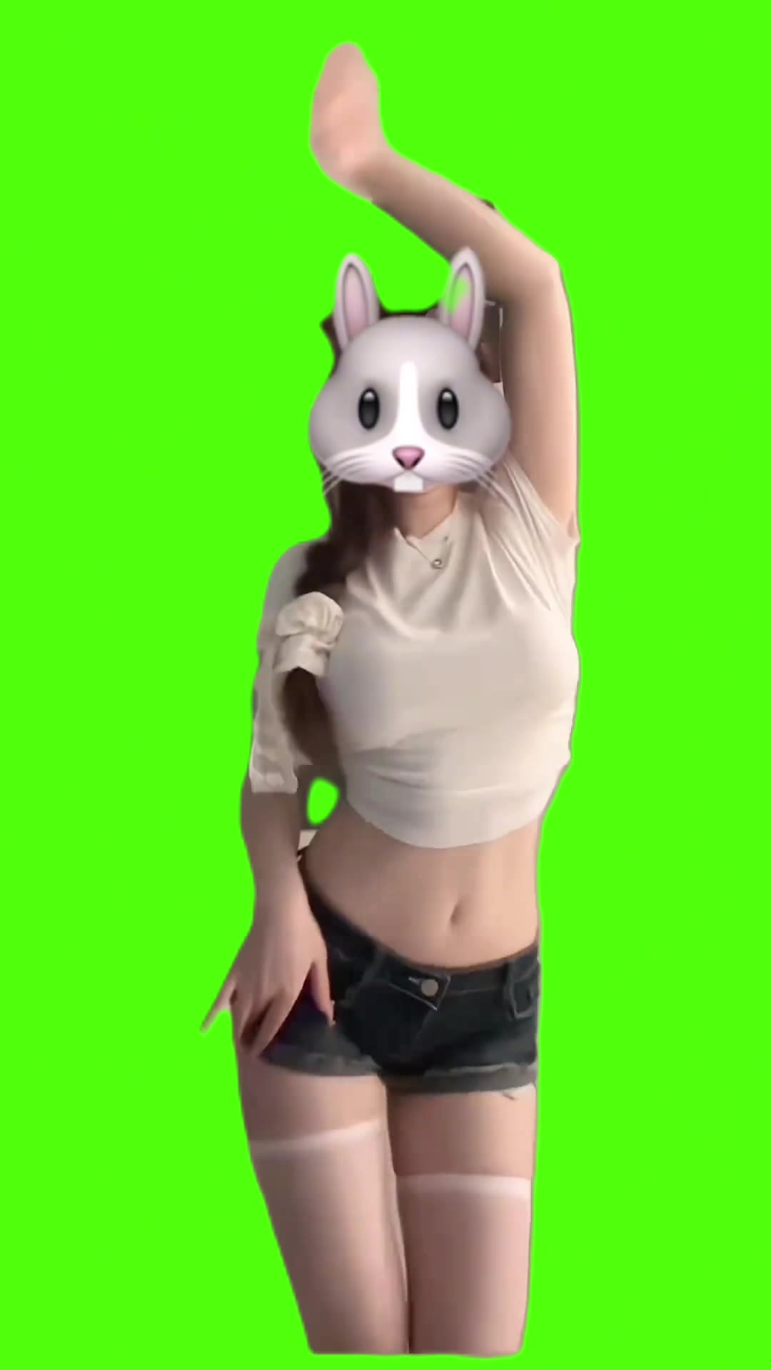 梨花香 舞蹈 绿幕直播特效视频