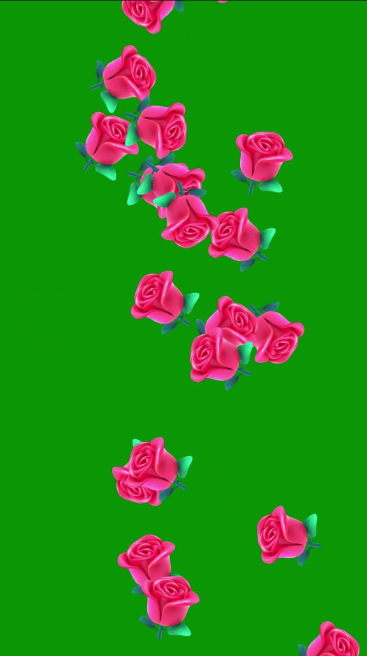 玫瑰5x6 绿幕直播特效视频