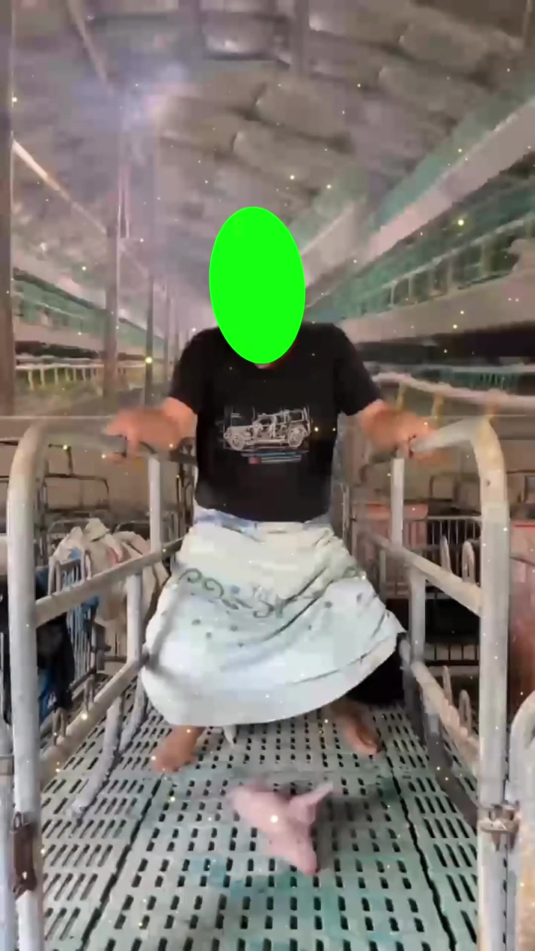 主播生小猪 难产 6秒 绿幕直播特效视频