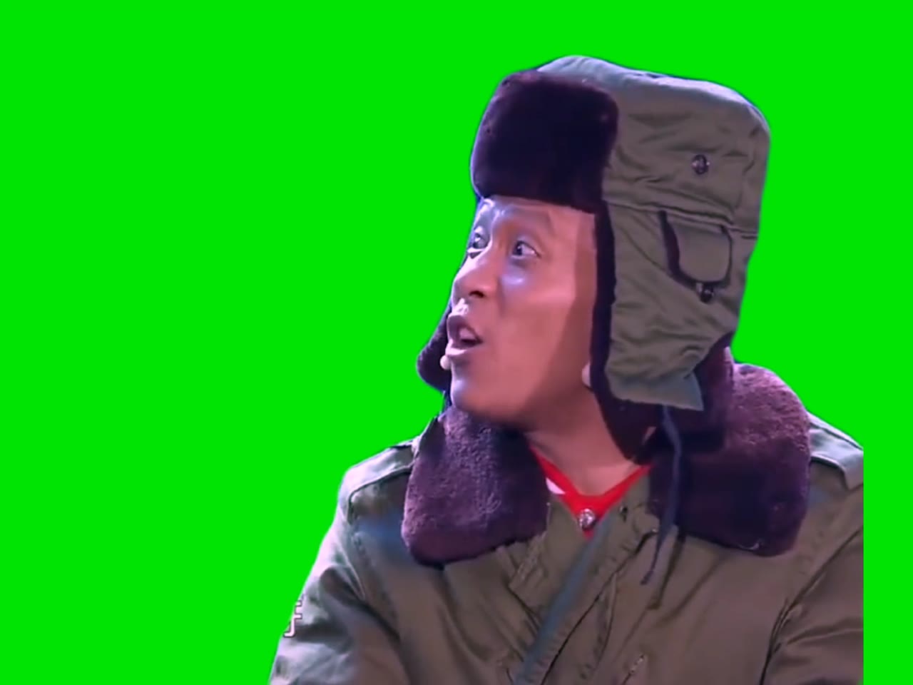 宋小宝你叭叭啥呀瞅你个损塞 2秒 绿幕直播特效视频