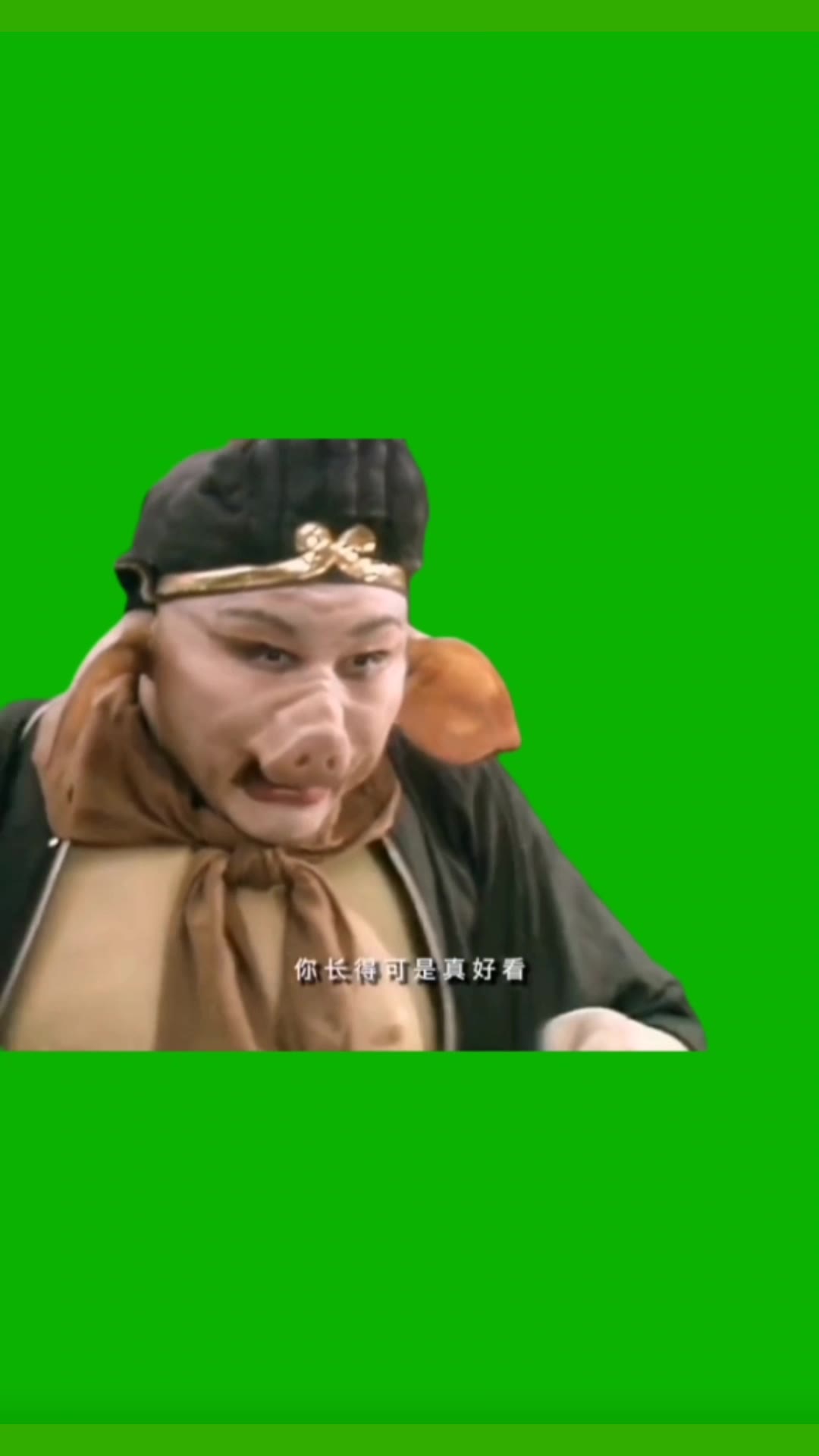 小美人  你长得真好看 4秒 绿幕直播特效视频