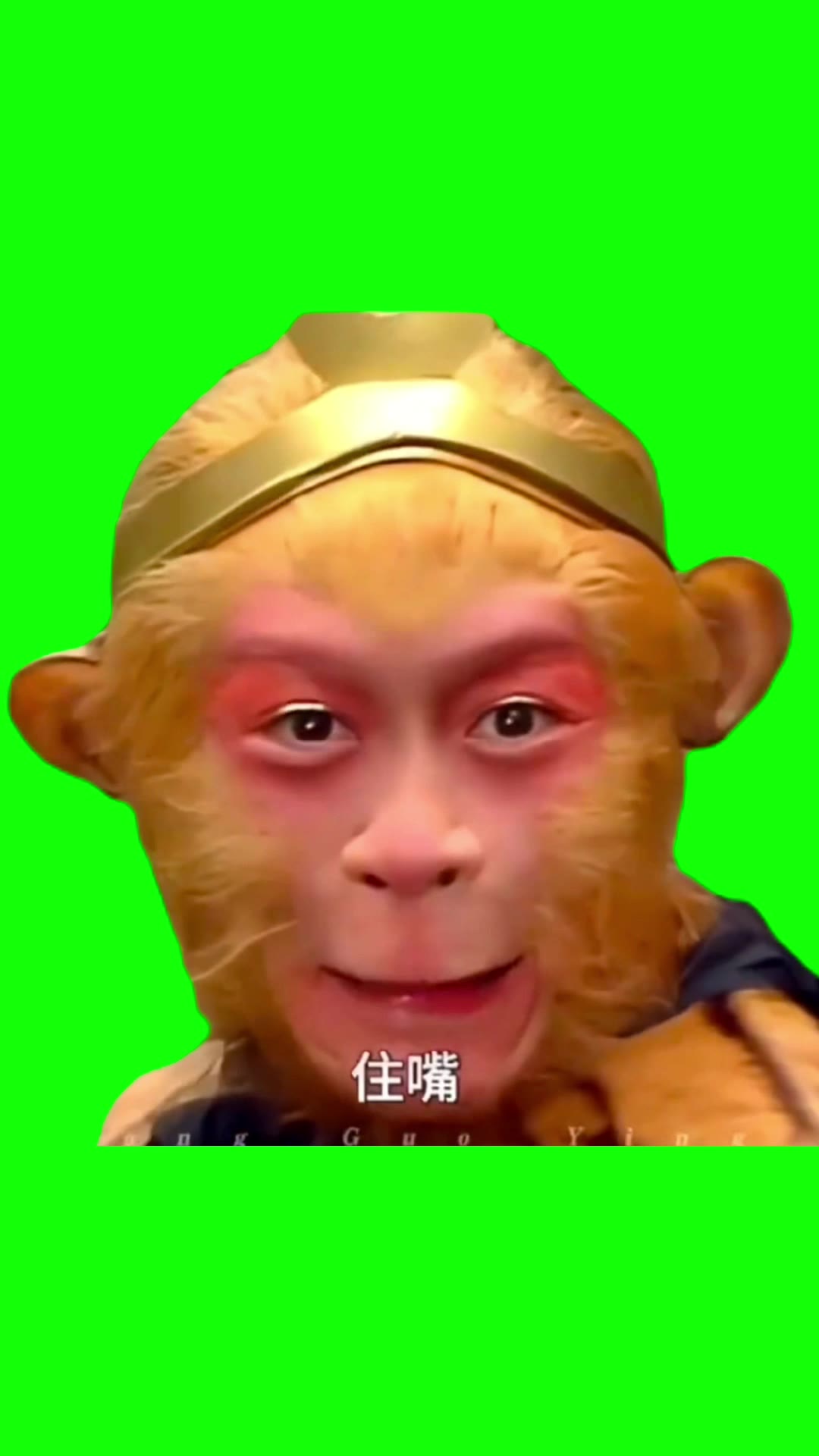 孙悟空系列2 住嘴1秒 绿幕直播特效视频