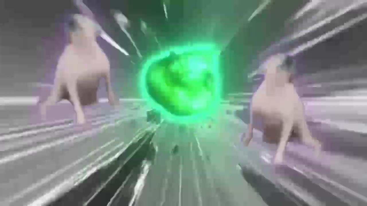 20231109 新电音猫5 绿幕直播特效视频