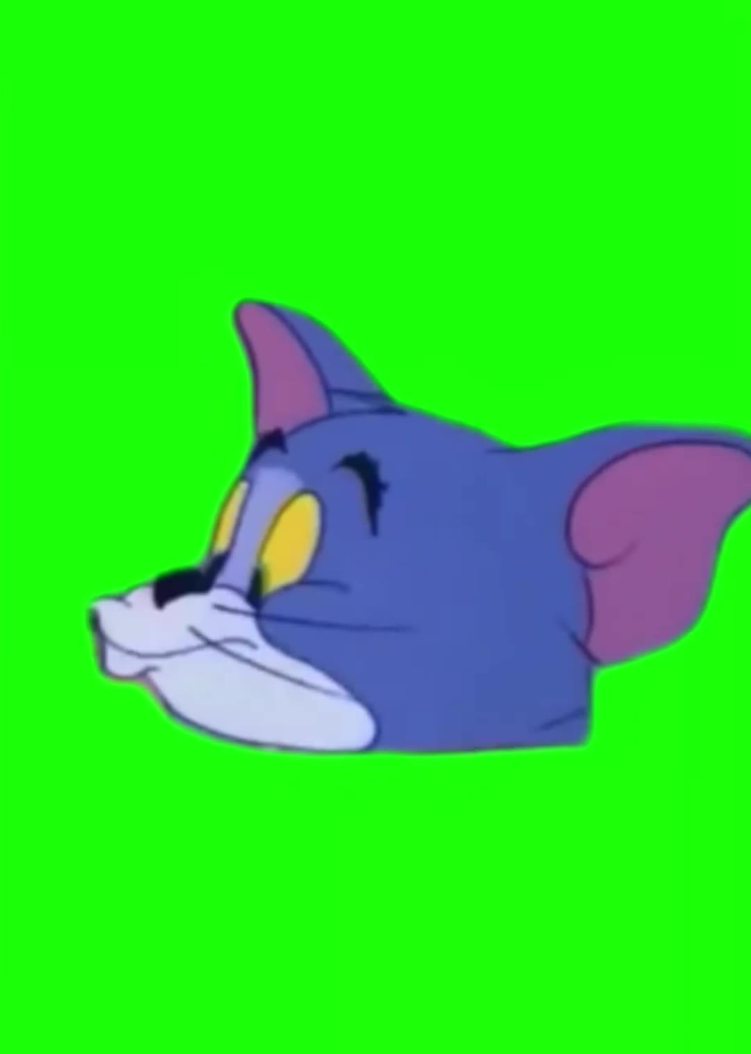 汤姆猫右边亲 绿幕直播特效视频
