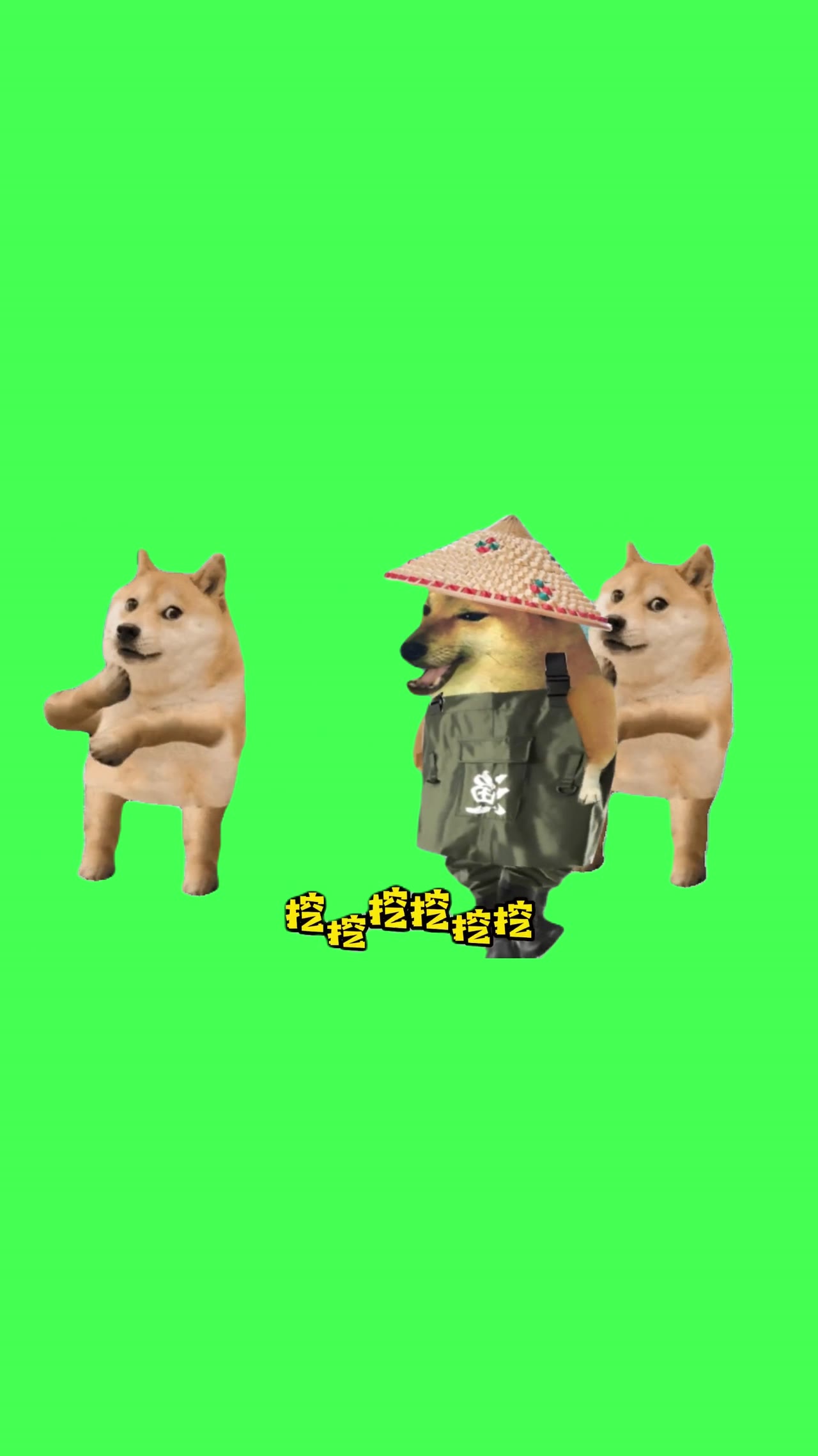 挖蛤喇 绿幕直播特效视频