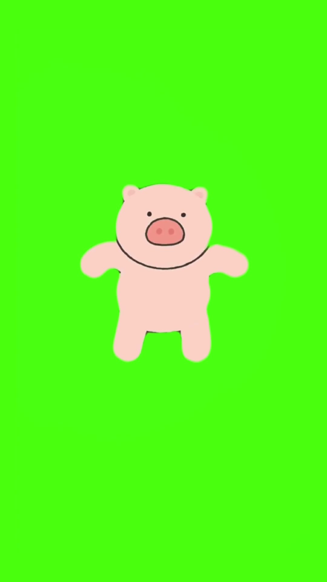 小猪本草纲目35秒 绿幕直播特效视频