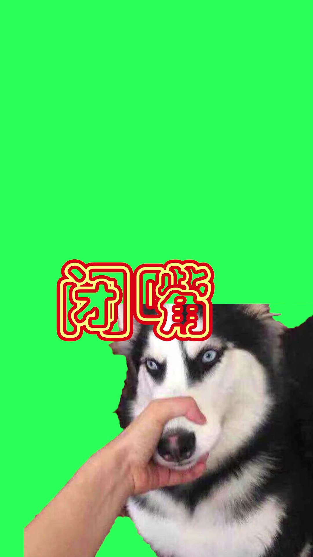 ：闭嘴成品2 绿幕直播特效视频