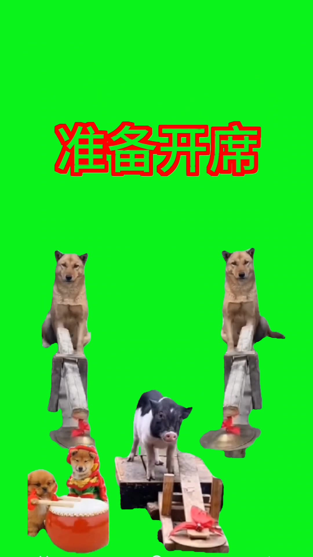 准备开席猪朋狗友6秒 绿幕直播特效视频
