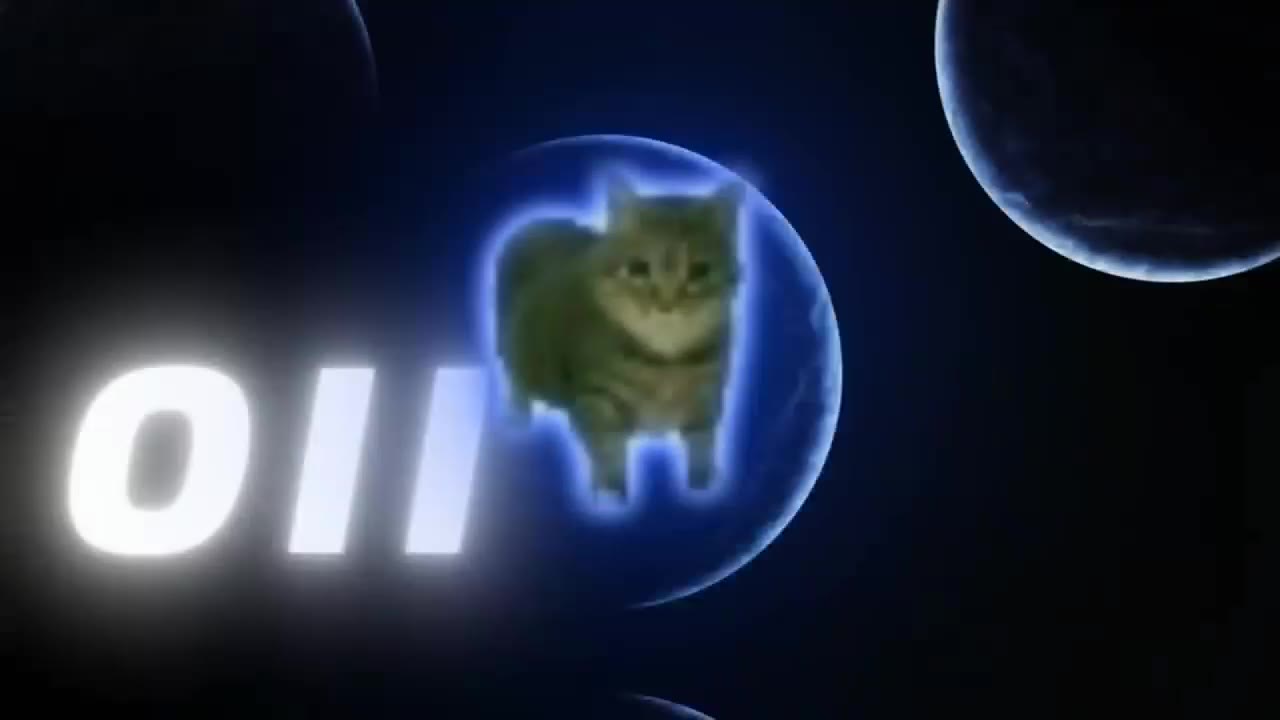 30231113 鬼畜猫 绿幕直播特效视频