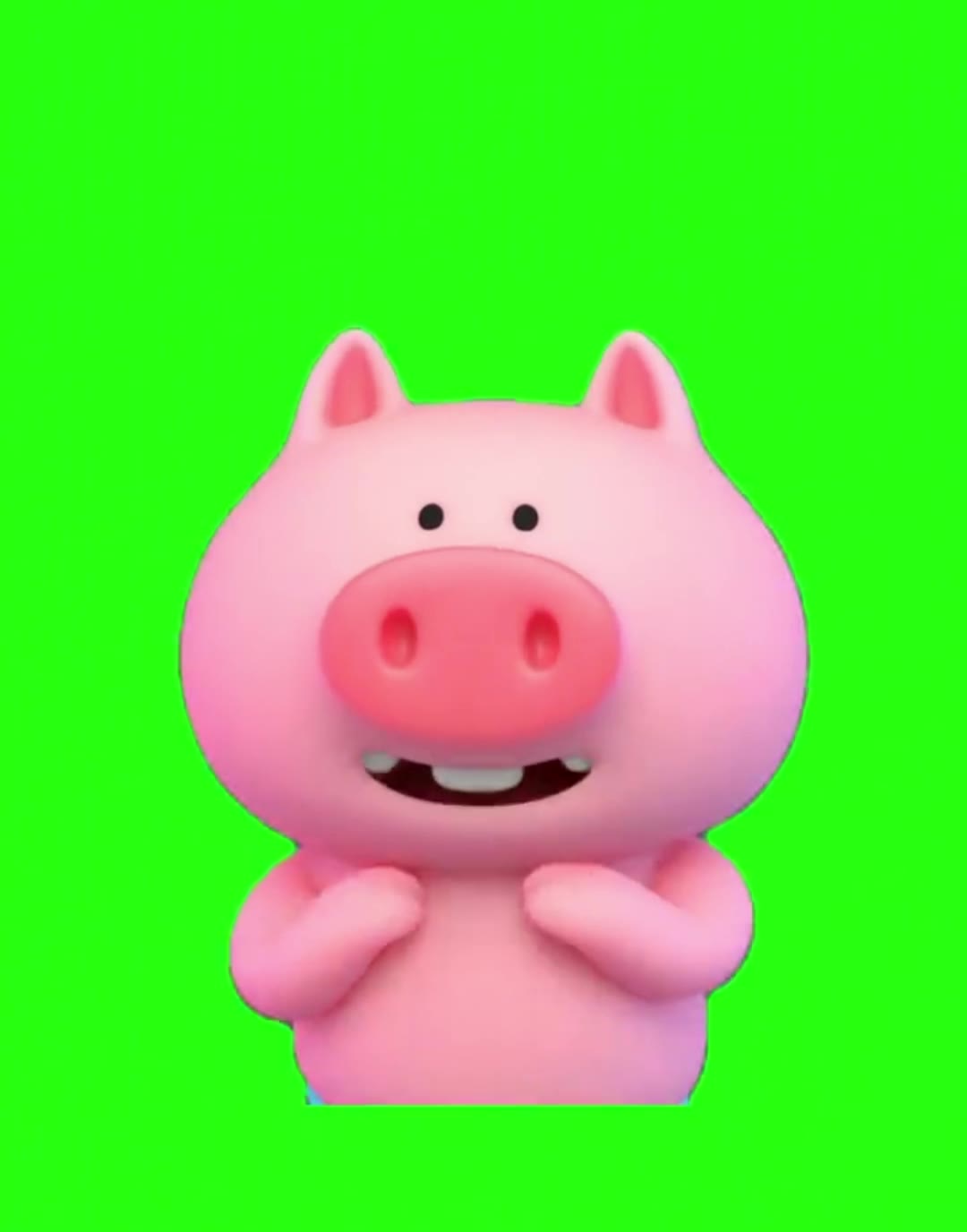 小猪扭扭舞 绿幕直播特效视频